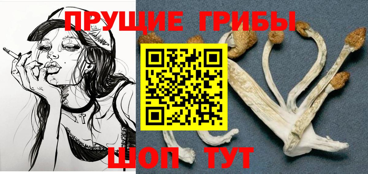 Славгород  Галлюциногенные грибы ЛСД  Вход с VPN 
