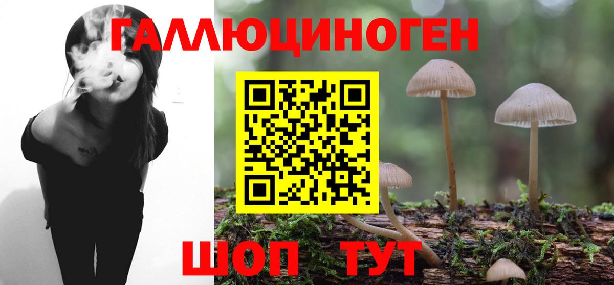 Галлюциногенные грибы мицелий Славгород